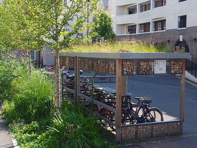 OLYMPUS DIGITAL CAMERA Biodiverse planting on a bike shelter